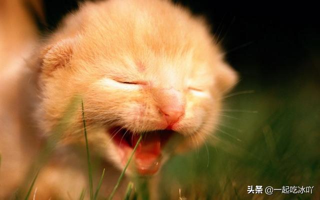 爱情故事睡前故事大全浪漫（爱情故事睡前故事大全浪漫短篇）