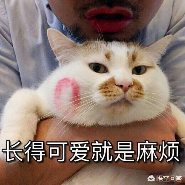 有哪些笑话（有哪些笑话越想越好笑）