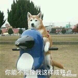 有哪些笑话（有哪些笑话越想越好笑）