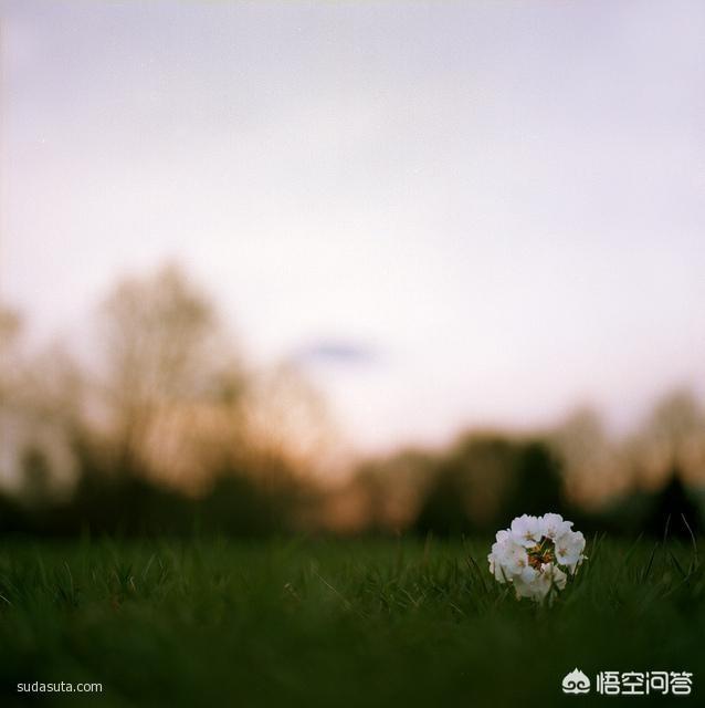 有趣的故事500字（《有趣的故事》作文）