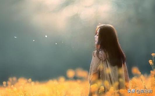 放下一段不该有的感情（放弃一段不该有的感情）