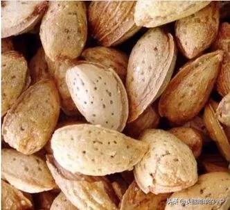 坚果图片大全及名称(坚果图片大全及名称介绍)