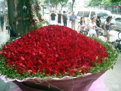 玫瑰花图片真实照片 花束（玫瑰花图片 精美图片）