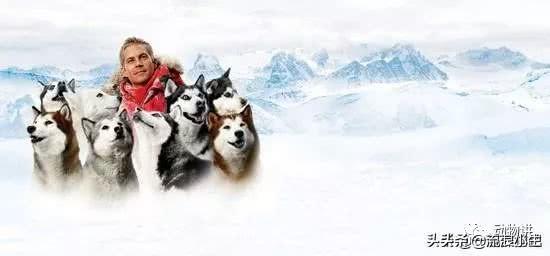 关于狗的电影（哆啦a梦关于狗的电影）