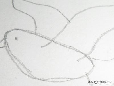 和平鸽简笔画彩色（和平鸽简笔画 简单漂亮）