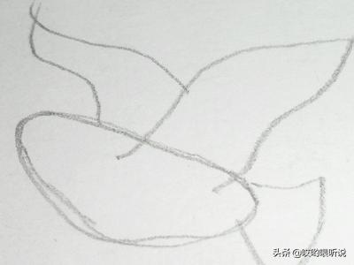 和平鸽简笔画彩色（和平鸽简笔画 简单漂亮）