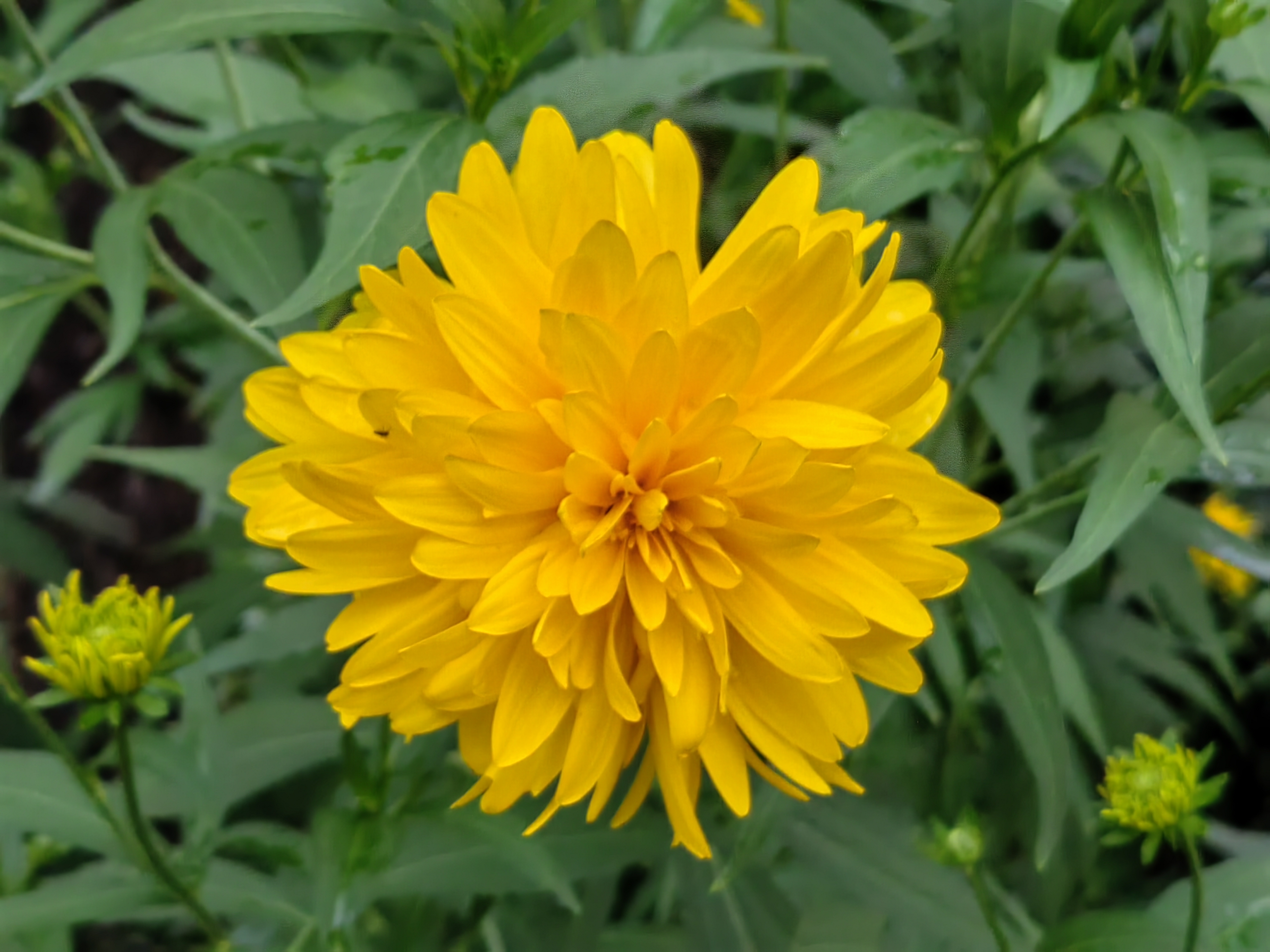 十大睫毛增长液排行榜10强（睫毛增长液十大排名榜）