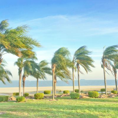 厦门一日游攻略(厦门一日游攻略及费用)