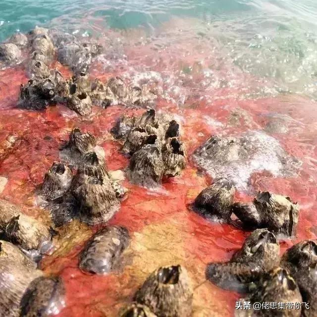 中国世界文化遗产53个图片（中国的世界文化遗产大全及图片可打印）