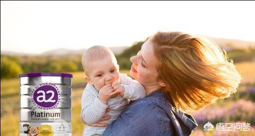 婴儿奶粉10大品牌排行榜（婴儿奶粉10大品牌排行榜最新）
