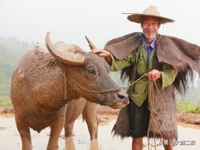 真实的教育故事（真实的教育故事在线观看）