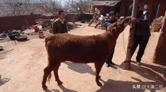 真实的教育故事（真实的教育故事在线观看）