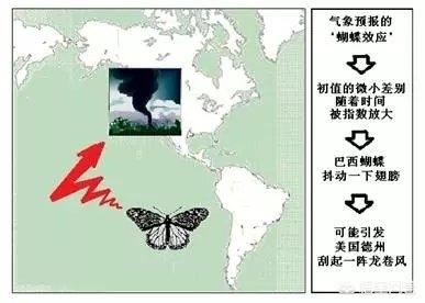 有趣的数学故事二年级（我超喜爱的数学趣味故事书 二年级）