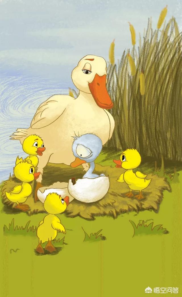 丑小鸭故事简短故事100字（丑小鸭的故事怎么写100个字）