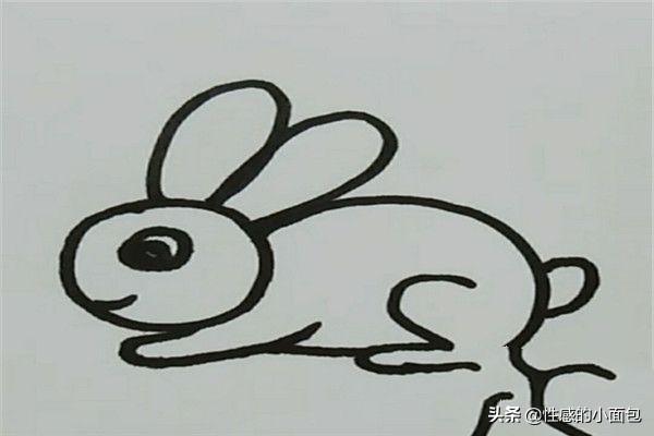 小白兔简笔画 儿童画（小白兔简笔画 儿童画图片）