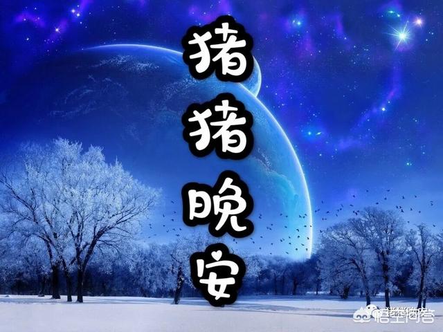 哄女朋友的睡前故事知乎（哄女朋友的睡前故事温馨）