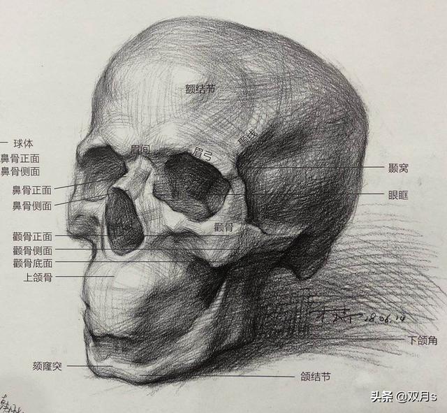 我家的故事绘画（我家的故事绘画作品）