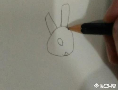 幼儿园小白兔简笔画（幼儿小白兔简笔画图片带颜色）