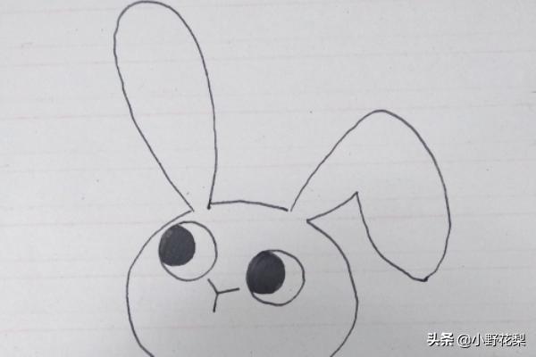 可爱小白兔简笔画（可爱小白兔简笔画彩色）