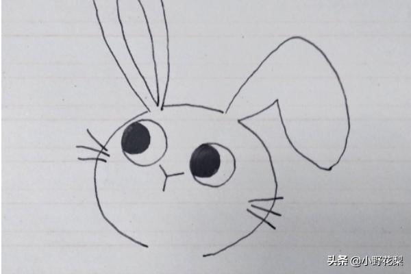 可爱小白兔简笔画（可爱小白兔简笔画彩色）