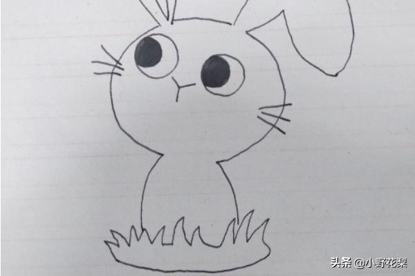 可爱小白兔简笔画（可爱小白兔简笔画彩色）